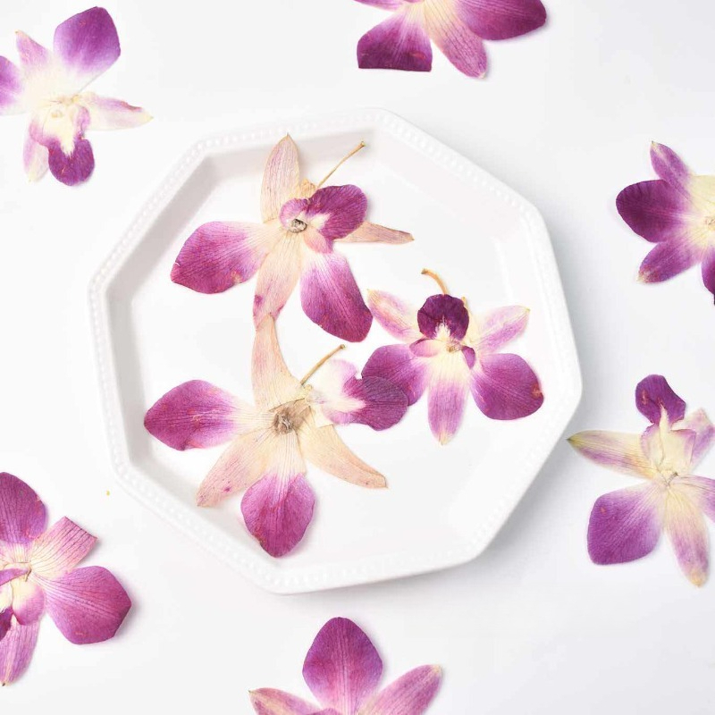 Resin Art Frame - 4 ชิ้น, ดอกกล้วยไม้ผีเสื้อแท้แบบกดอัด, งานศิลปะเรซิ่น DIY, สมุดภาพ,