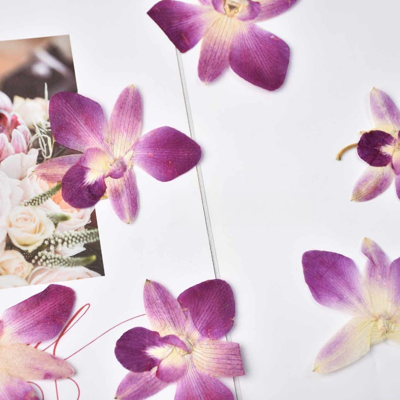 4 ชิ้น, ดอกกล้วยไม้ผีเสื้อแท้แ - Resin Art Frame บทวิจารณ์และราคา