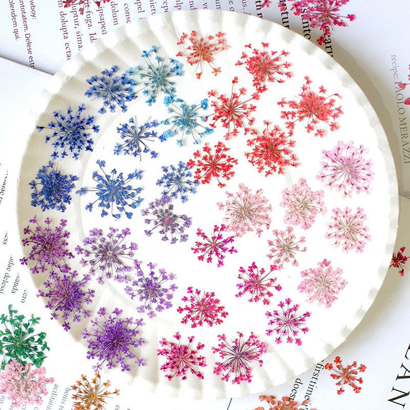 24 ชิ้น, ขนาด 2-2.5 ซม., ดอกไม - Resin Art Frame บทวิจารณ์และราคา